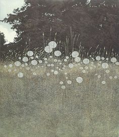 a field with lots of dandelions in the grass