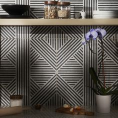 a kitchen with black and white tiles on the wall, potted plants and other items