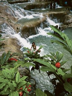 a man standing in the middle of a river surrounded by greenery and rocks with red flowers