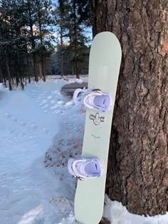 a snowboard leaning against a tree in the snow