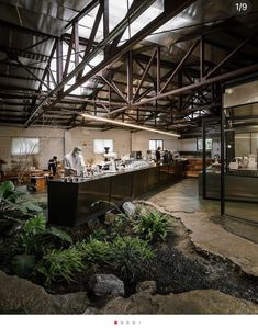 an industrial looking kitchen with lots of counter space and plants in the foregrounds