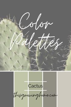 the color palettes for cactuses and cacti are in shades of gray, green