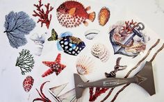 an assortment of sea animals and corals on a white surface with a pair of pliers