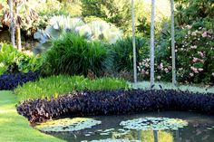 a pond surrounded by lush green plants and flowers