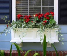 a window box filled with red flowers and greenery