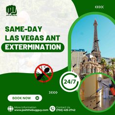 an advertisement for the same day las vegas ant extermination