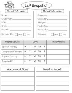 the iep snapshot worksheet is shown in black and white with text