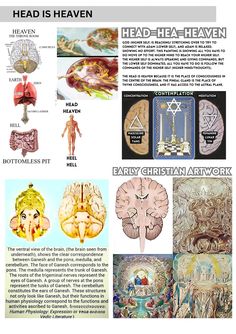 the head is heaven and it has many different things in it, including brain images