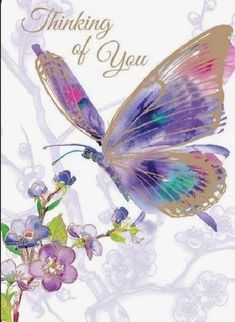 a greeting card with a butterfly on it's wings and the words thinking of you