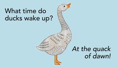 a drawing of a duck with the caption what time do ducks wake up? at the quack of dawn