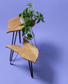 two wooden tables with plants on them against a blue background and one has a plant growing out of it