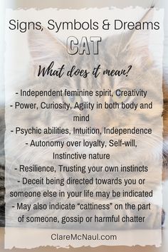 When Cat shows up in your life, dreams or readings what is she saying? She's multifaceted, to be sure. Consider what is going in your life when decoding Cat as a symbol to get the most out of the interpretation for your journey. Cat Symbolism, Sleep Dream, Dream's Cat