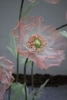 some pink flowers are in a vase on the table and one is blooming up