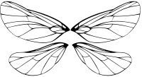 a butterfly with wings spread out and the words design by mother nature and katherine dewey