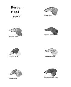 an animal's head types are shown in black and white