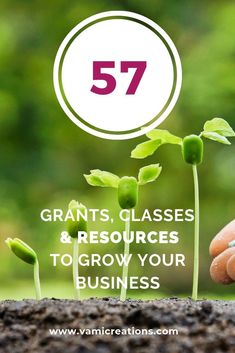 small plants growing out of the ground with text overlay that reads, 53 grants, glasses & resources to grow your business