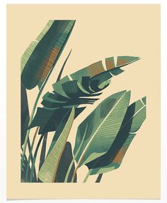 a green plant with large leaves on a beige background is featured in this art print