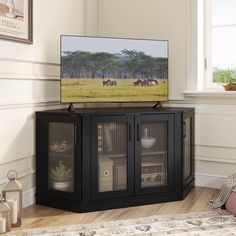 a flat screen tv sitting on top of a black cabinet