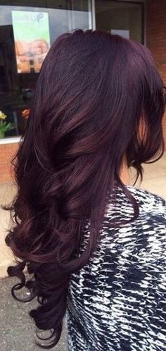 Dark hair with purple tint Dark Raspberry Hair, Purple Hair Color Highlights, Pelo Color Borgoña, Violet Hair Colors, Hair Color Plum, Dark Purple Hair, Plum Hair, Violet Hair, Hair Color Burgundy