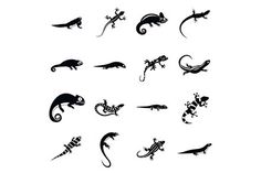 lizards and geckos are silhouetted against a white background