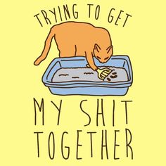 Katt Diy, Magnum Opus, Cat Shirt, E Card, Crazy Cat Lady, Funny Cat, Crazy Cats, The Words, Mood Pics