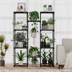 a living room filled with lots of potted plants