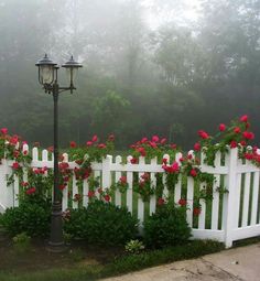 a white picket fence with red flowers on it and a street light in the foreground