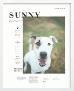 the front page of sunny magazine with a dog's face and tongue sticking out