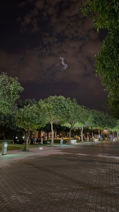 people are sitting on benches under trees at night