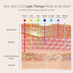 Reverse Signs of Aging in 10 Minutes Rejuvenate the skin and neck with powerful 7 color LED light therapy Target the first signs of aging on the delicate neck area 7 skin modes to treat a broad range of skin concerns 417 powerful LEDs for full and even coverage Clinical grade results in quick 10-minute sessions Auto shut shown for ultimate safety Instantly maximize the performance of follow-up skincare More comprehensive and balanced anti-aging treatment than face care only Esthetician Notes, Future Esthetician, Estie Bestie, Led Light Therapy Skin, Esthetician Life, Led Light Mask, Light Therapy Skin, Neck Mask, Led Light Therapy Mask