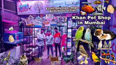 an advertisement for pet shop in mumbai with many birds and parrots on the display