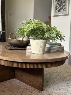 a potted plant sitting on top of a wooden table