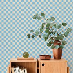 a potted plant sitting on top of a wooden shelf next to a book case