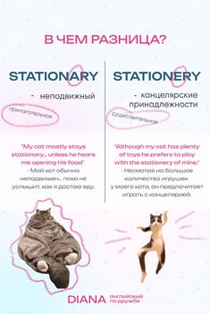 an advertisement with two cats in different positions