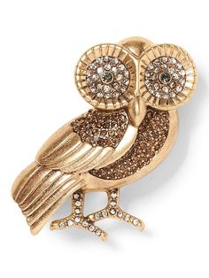 product photo Chic Gold Brooches For Party, Owl Brooch, Brooch Dress, Owl Jewelry, Women's Jewelry And Accessories, Pin Backs, Rings Necklaces, Shoes And Accessories, Jewelry For Women