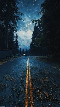 an empty road in the middle of a forest at night with stars and moon above