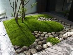 a small garden with grass and rocks on the ground