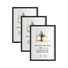 three frames with plants in them sitting on a table next to each other, one is black and the other is white