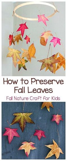 an image of fall leaves hanging from the ceiling with text overlay that reads how to preserve fall leaves