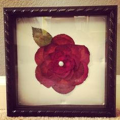 a red rose in a black frame on the floor