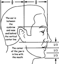 a drawing of the face and neck area with lines drawn on it, including two different areas