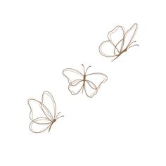 two butterflies flying in the air on a white background