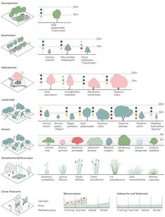 the different types of trees and shrubs are shown in this diagram, which shows how they can