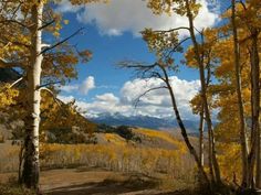 a dirt road surrounded by trees with yellow leaves on them and mountains in the background