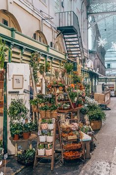 an outdoor market with lots of potted plants on the shelves and in front of it is a spiral staircase