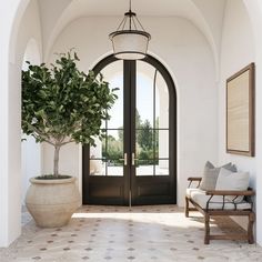 a large potted plant sitting on top of a wooden bench next to a doorway