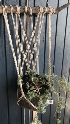 two hanging planters with plants in them on a wooden rack next to a black wall