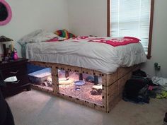 Cat Bed Ideas - Ready for more awesome ideas? - Click to visit for more. Do It TODAY!! Diy Guinea Pig Cage, Guinea Pig Hutch, Indoor Rabbit, Pig House, Guinea Pig Cage, Animal Room, Shower Remodel, Bearded Dragon