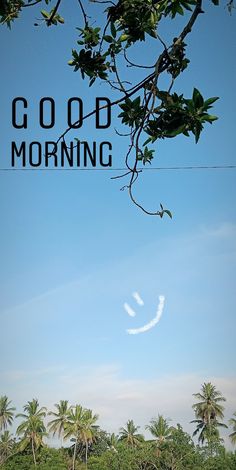 the words good morning are written in black on a blue sky with palm trees behind it