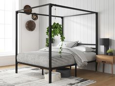 a bedroom with white walls and wood flooring has a black metal bed frame that is topped with plants